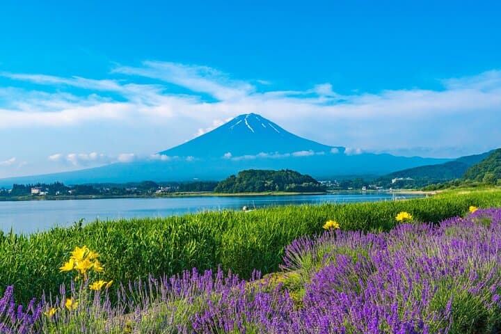 Mt. Fuji & Hakushu Distillery Whisky Museum Bus Tour from Tokyo — photo 12