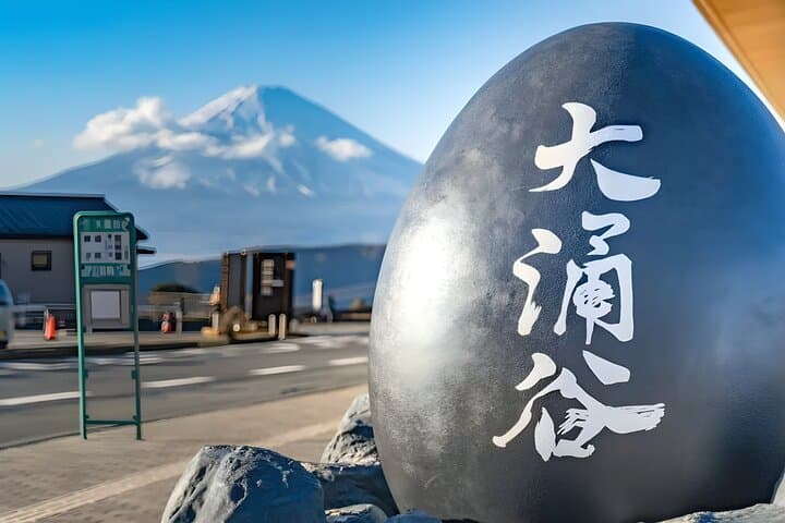 From Yokohama Port Hakone Ropeway & Lake Ashi 10Hour Private Tour — photo 5