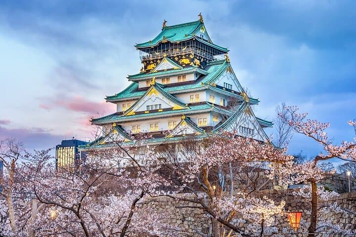 Osaka Private Car City Tour — photo 5