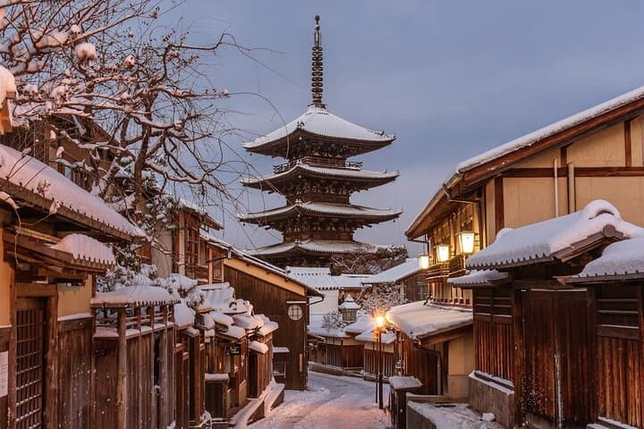 Kyoto Private Car City Tour — photo 5