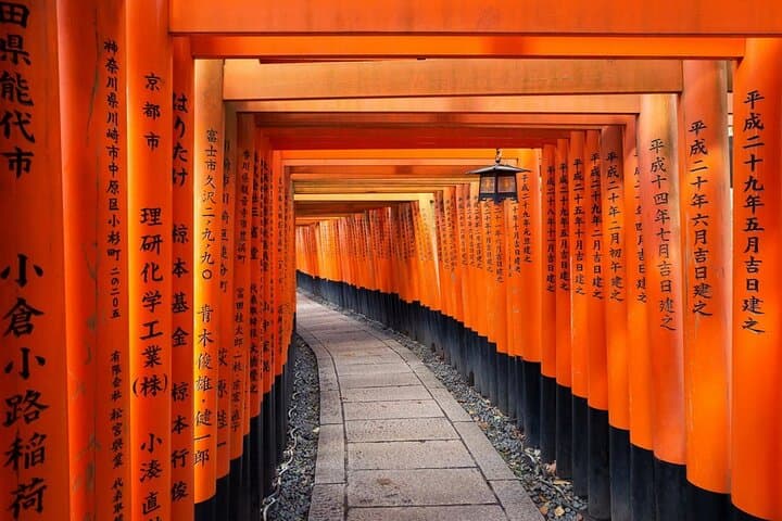 Kyoto Private Car City Tour — photo 6