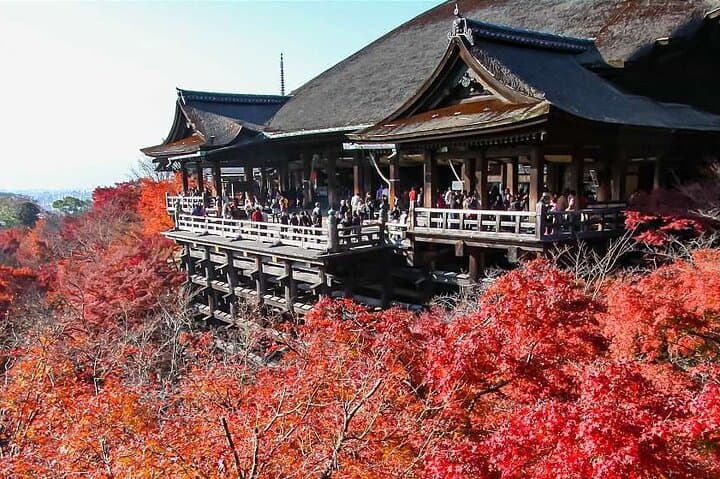 Kyoto Private Car City Tour — photo 8
