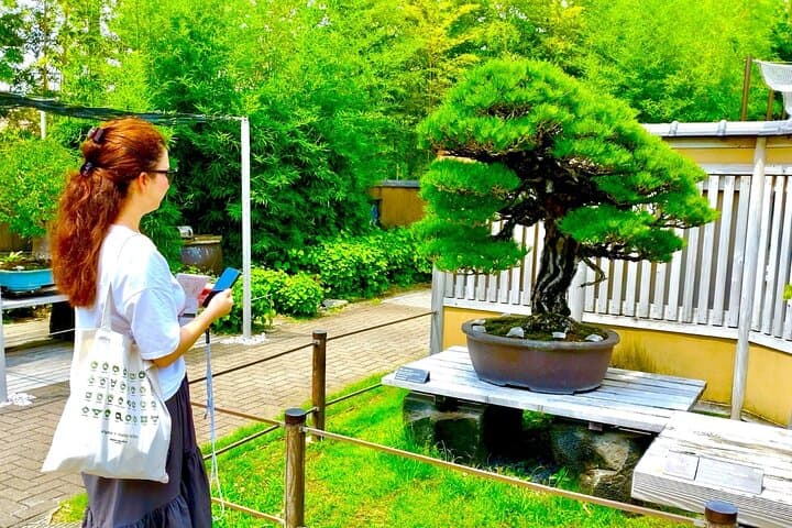 Bonsai Tour & Experience at the Most Sacred City for Bonsai in JP — photo 18