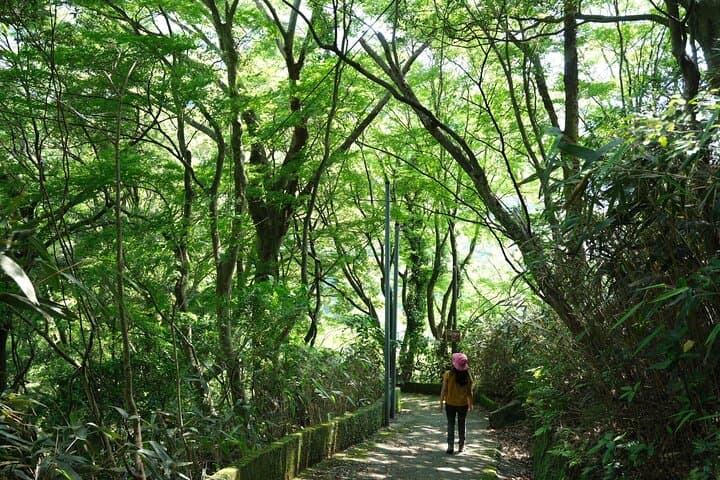Hakone Valley Hike, Forest Bathing and Wagashi shop (Half-day) — photo 2