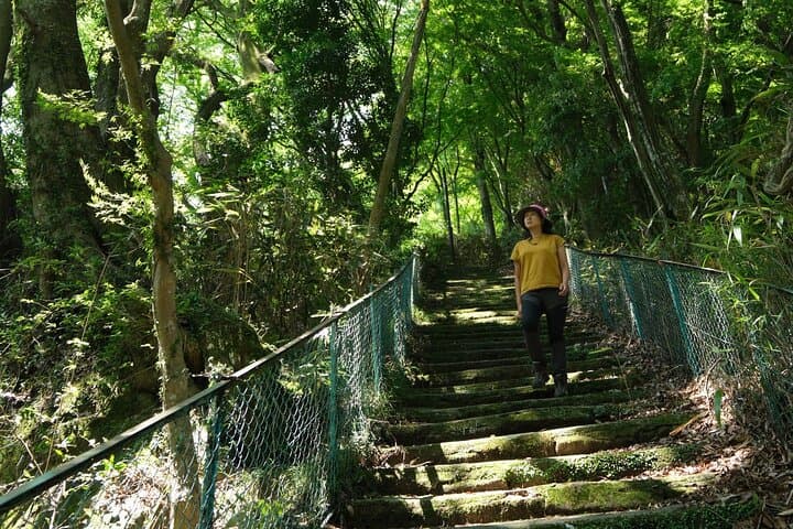 Hakone Valley Hike, Forest Bathing and Wagashi shop (Half-day) — photo 13