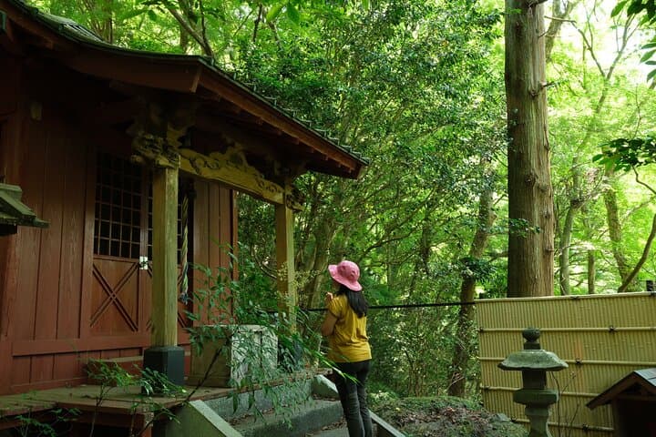Hakone Valley Hike, Forest Bathing and Wagashi shop (Half-day) — photo 5
