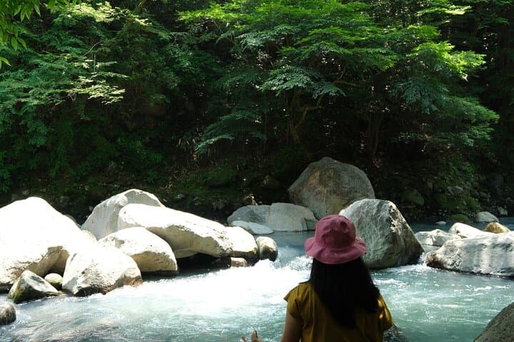 Hakone Valley Hike, Forest Bathing and Wagashi shop (Half-day) — photo 6