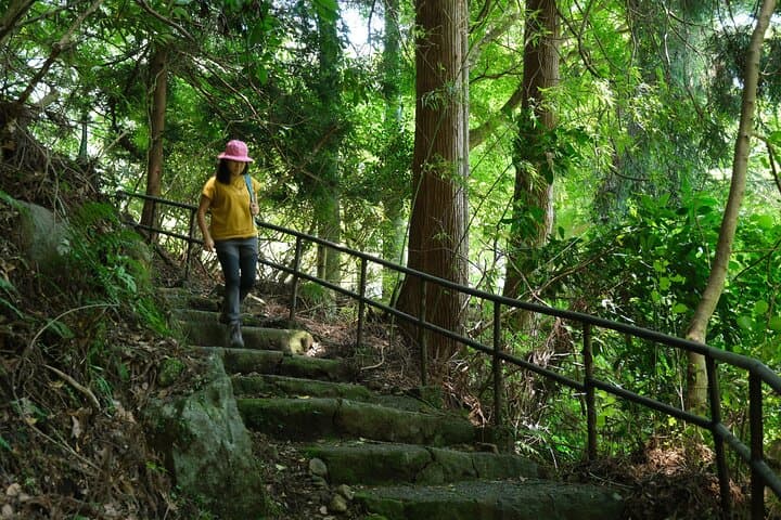 Hakone Valley Hike, Forest Bathing and Wagashi shop (Half-day) — photo 3