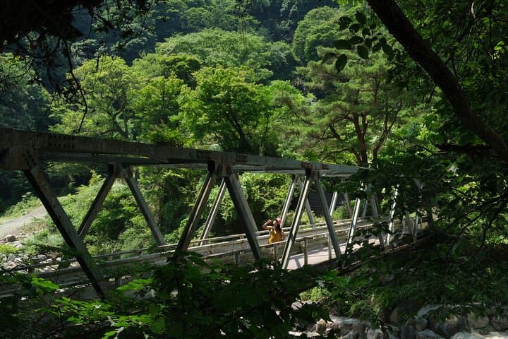 Hakone Valley Hike, Forest Bathing and Wagashi shop (Half-day) — photo 4