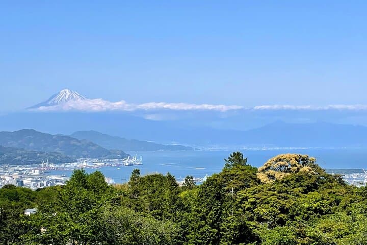 Fuji Area Cultural Highlights Day Tour from Shimizu Port by Car — photo 8