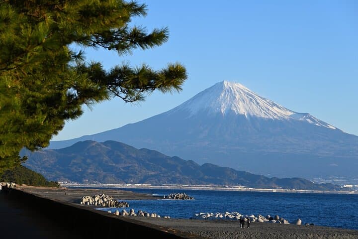 Fuji Area Cultural Highlights Day Tour from Shimizu Port by Car — photo 13