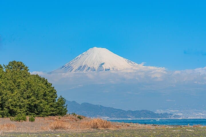 Fuji Area Cultural Highlights Day Tour from Shimizu Port by Car — photo 14
