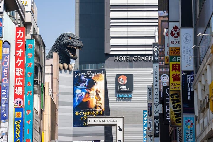 Perfect for First-Time Visitors Private Tokyo Highlights Tour — photo 8