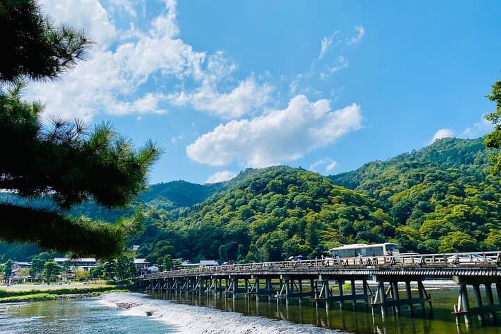 Half Day in Kyoto Arashiyama with Lunch in a Temple Private Tour — photo 6