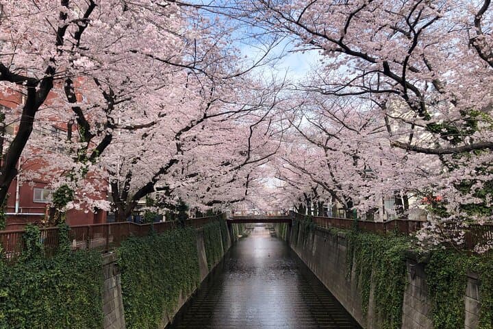 Private Day Tour in Tokyo with Government-Licensed Guide — photo 14