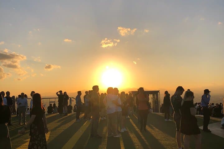 Private Taxi Tour in Tokyo with Government Licensed Guide — photo 14