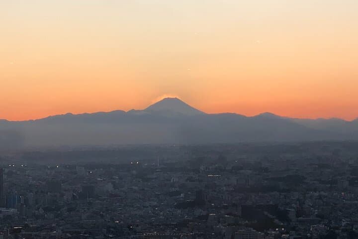 Private Taxi Tour in Tokyo with Government Licensed Guide — photo 15
