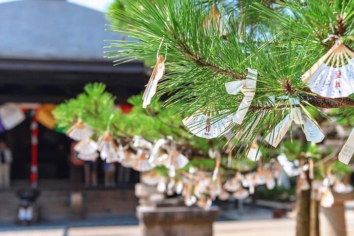Kyoto & Nara Private Customized Tour with English Speaking Guide — photo 3