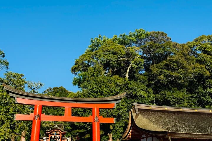 Kyoto & Nara Private Customized Tour with English Speaking Guide — photo 5