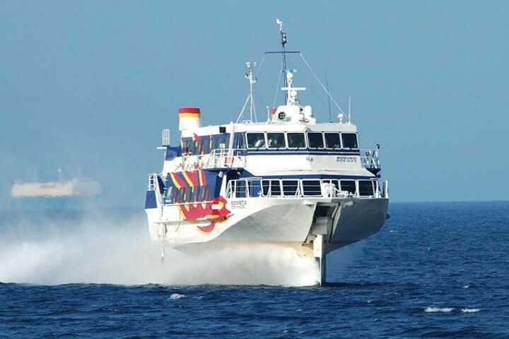 Day Trip to Yakushima by High Speed Jetfoil Toppy from Kagoshima — photo 2