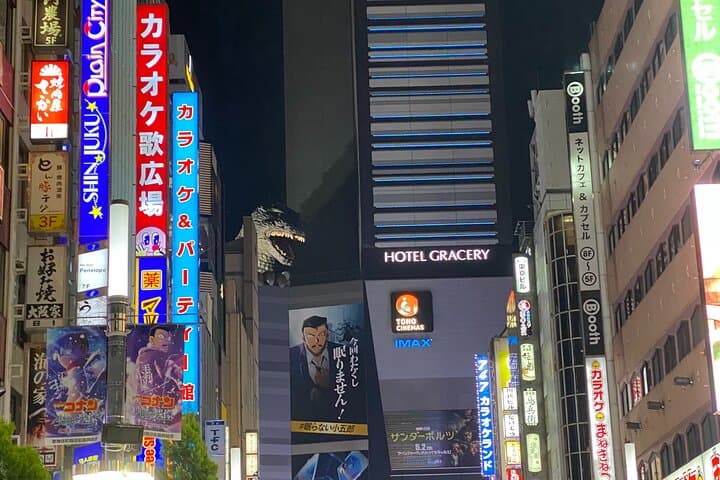 Tokyo Shinjuku Night Walking Tour Golden Gai And Local Culture — photo 12