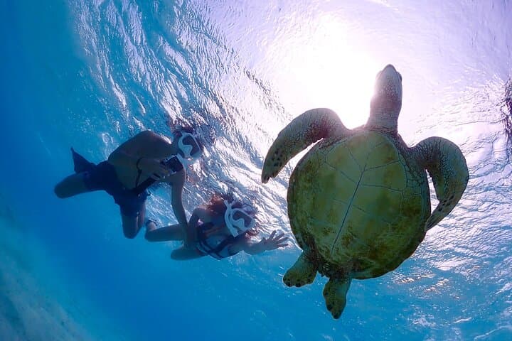 Cheap Miyakojima (Clear SUP & Sea Turtle Snorkel) No extra charge | Full refund guarantee | Free rentals and photos | 1 year old - OK! — photo 2