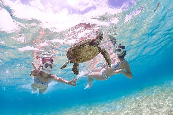 Cheap Miyakojima (Clear SUP & Sea Turtle Snorkel) No extra charge | Full refund guarantee | Free rentals and photos | 1 year old - OK! — photo 3