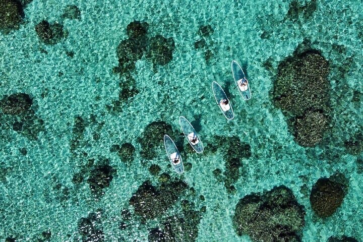 Cheap Miyakojima (Clear SUP & Sea Turtle Snorkel) No extra charge | Full refund guarantee | Free rentals and photos | 1 year old - OK! — photo 10