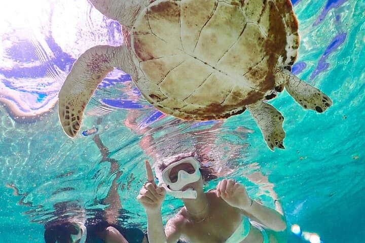 Cheap Miyakojima (Clear SUP & Sea Turtle Snorkel) No extra charge | Full refund guarantee | Free rentals and photos | 1 year old - OK! — photo 15