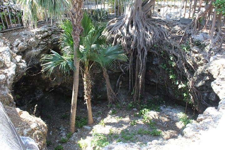 WWII Battle of Okinawa - Himeyuri & Peace Museum Guided Tour — photo 3