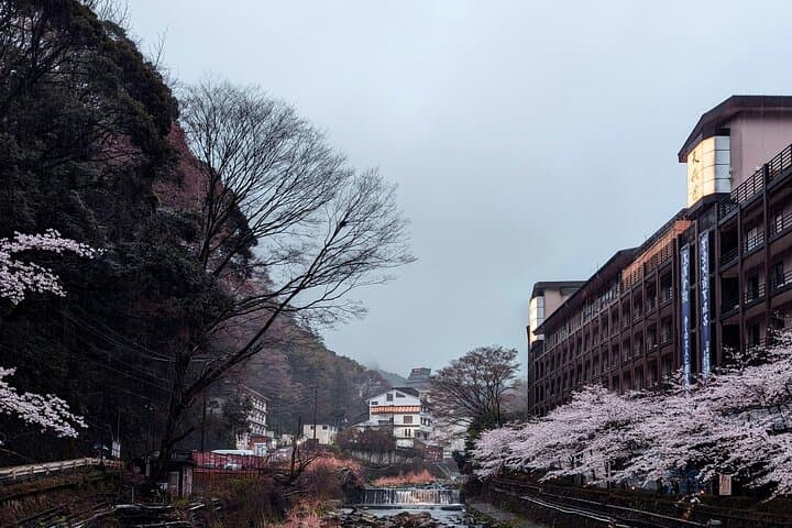 Only 1 Group per Day – Hakone Private Tour with Hotel Pickup — photo 4
