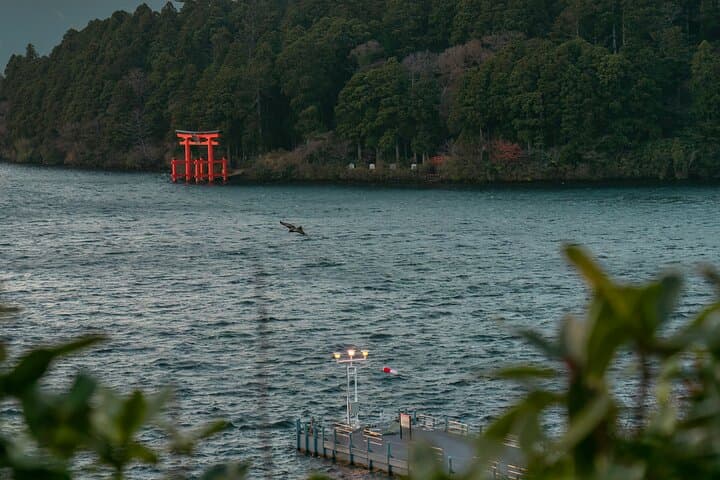 Only 1 Group per Day – Hakone Private Tour with Hotel Pickup — photo 6