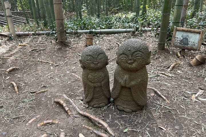Private Shore Excursion: Kyoto highlights from Osaka/Kobe Port — photo 9