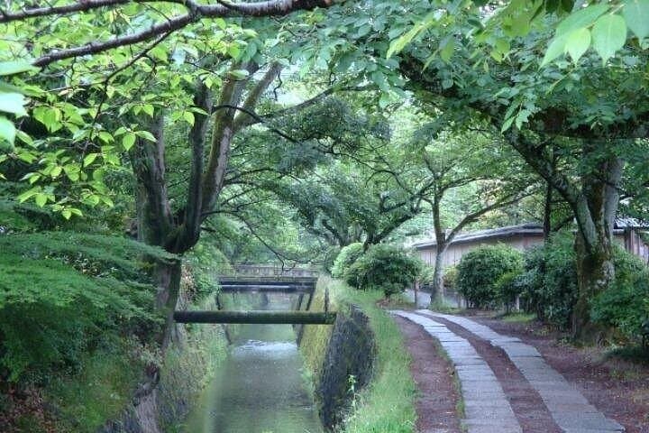 Peaceful Kyoto Walking Tour — photo 3