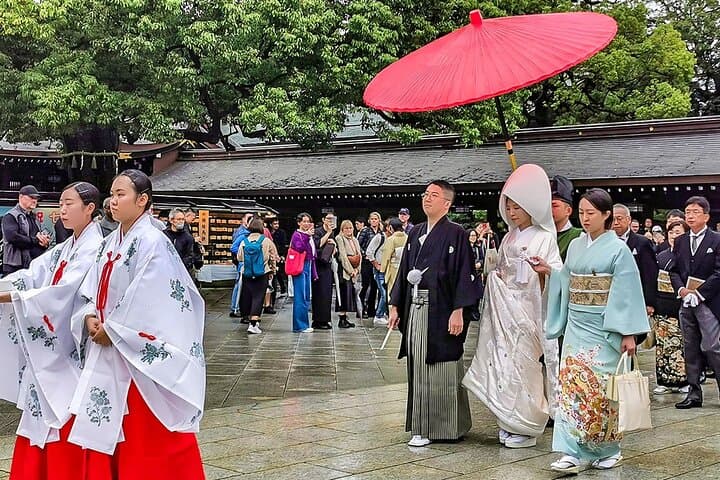 7 Days Best Japan Mini Group Tour with Toyko, Kyoto, Nara & Osaka — photo 7