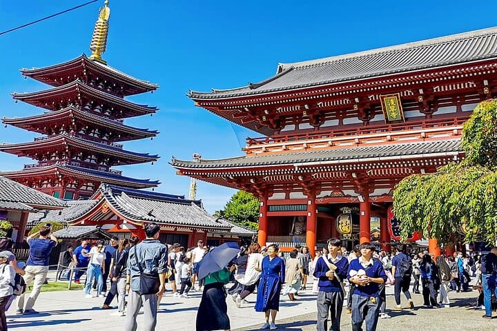 7 Days Best Japan Mini Group Tour with Toyko, Kyoto, Nara & Osaka — photo 8