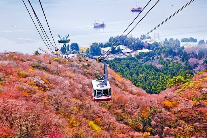 Tokyo: Mt. Fuji Hakone tour, Cable car&Optional Lake Ashi Cruise — photo 15