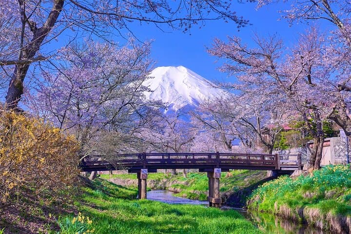 Mt. Fuji Day tour: Kawaguchi Lake Ropeway, Matcha, Oshino Hakkai — photo 19