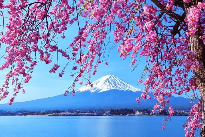 Mt. Fuji Day tour: Kawaguchi Lake Ropeway, Matcha, Oshino Hakkai — photo 3