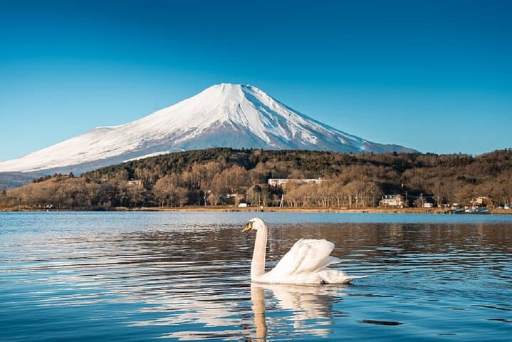 Mt. Fuji Day tour: Kawaguchi Lake Ropeway, Matcha, Oshino Hakkai — photo 7