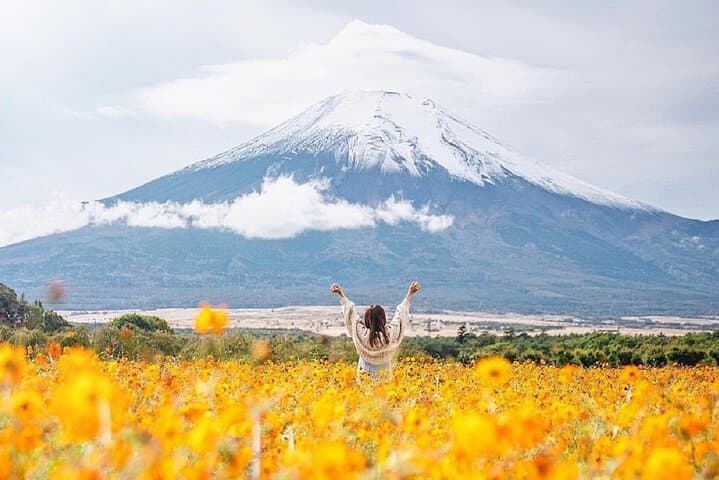 Mt.Fuji Arakurayama Sengen Park,Oshino Hakkai,Kawaguchi Lake Tour — photo 6
