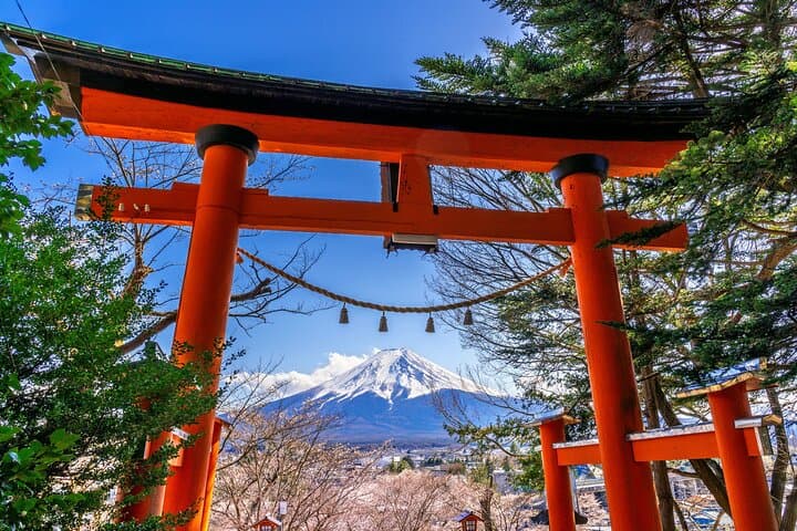 Mt.Fuji Arakurayama Sengen Park,Oshino Hakkai,Kawaguchi Lake Tour — photo 13