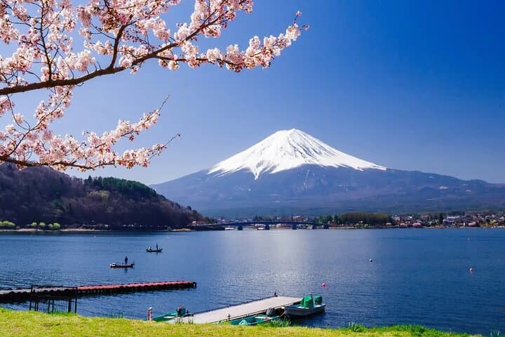 7 Days Customized Tokyo and Kansai Classic Family Tour — photo 4