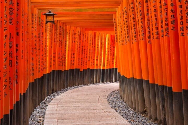 Kyoto 1 Day Tour for Shore Excursion from Osaka or Kobe — photo 5