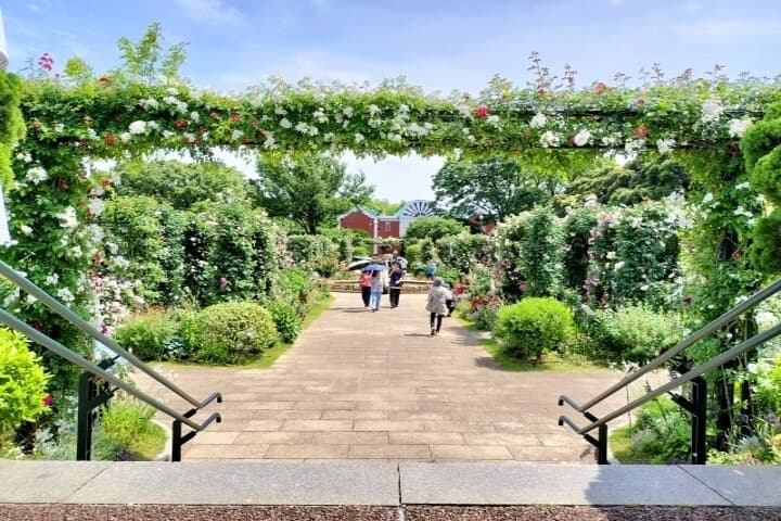 Yokohama Then and Now Walking Tour of the Port Opening Era — photo 2