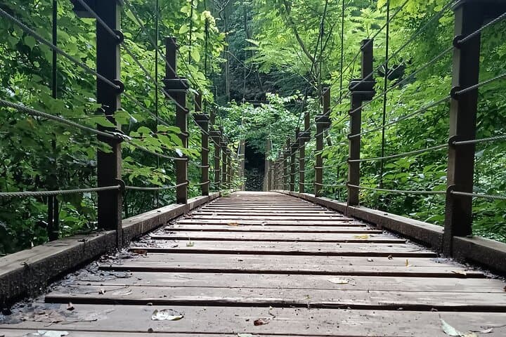 Tokyo: Mt. Takao Tour with Ramen and Tattoo-Okay Hot Spring — photo 9