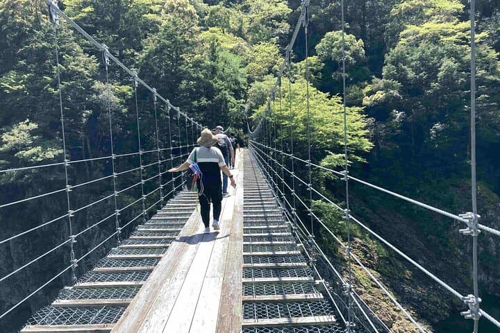 Kumano Kodo Pilgrimage Tour with Licensed Guide & Vehicle — photo 4