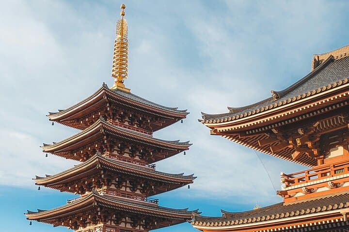 Vip | Tokyo Signature City Tour | Private Luxury Experience — photo 18