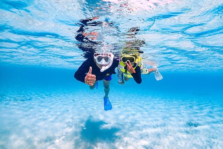 Miyakojima:Snorkeling｜Pick-up OK｜sea turtles & Fish and coral — photo 9