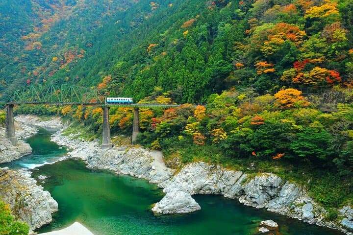 Kagawa,Kotohira Departure: Half-Day bus to Oboke & Kazura Bridge — photo 7